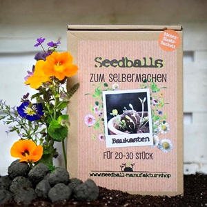 Seedball Baukasten